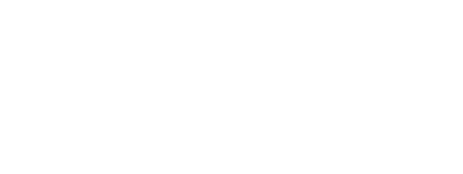 WSO Logo White